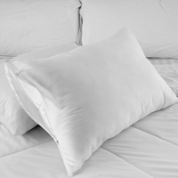 Zippered White Pillow Protector T180 (by the dozen)
